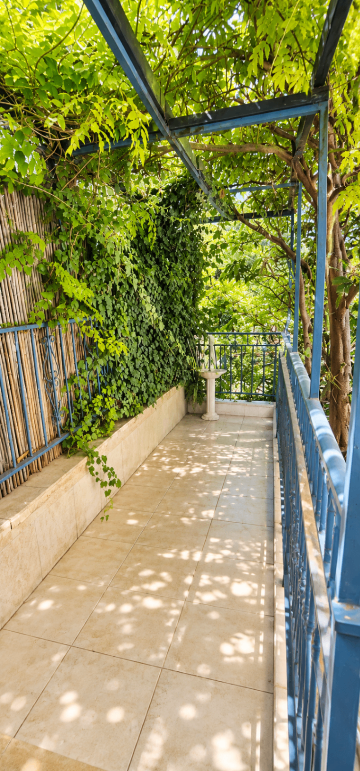 שביל מרפסת מוצל בצלילות שמש, עטוף גפנים וירק מתחת לפרגולה כחולה
